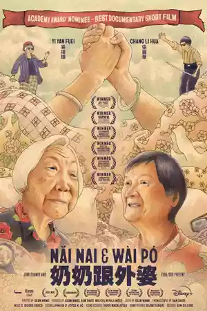 ดูหนังออนไลน์ฟรี Nai Nai & Wài Pó (2023)